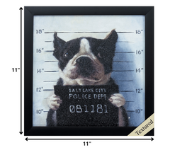 11' X 11' Black Frame Mug Shot