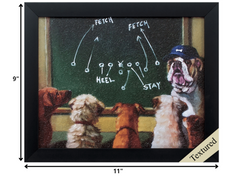 11' X 9' Black Frame Game Plan