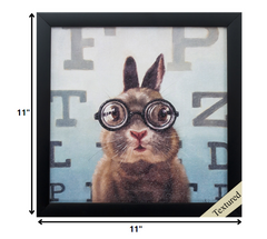 11' X 11' Black Frame Four Eyes