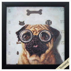 11' X 11' Black Frame Canine Eye Exam