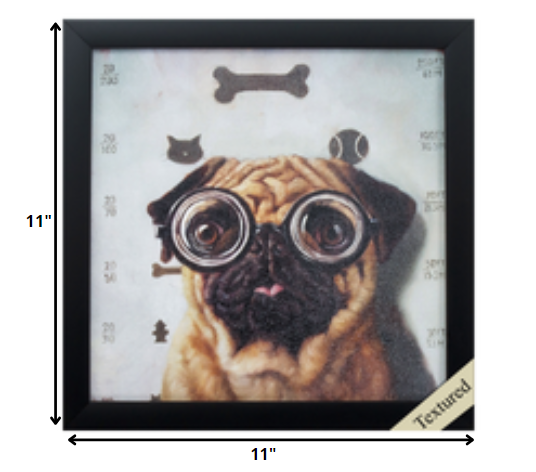 11' X 11' Black Frame Canine Eye Exam