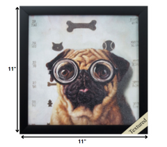 11' X 11' Black Frame Canine Eye Exam