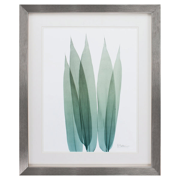 26' X 32' Silver Frame Sea Weed I