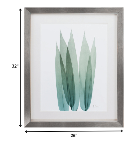 26' X 32' Silver Frame Sea Weed I