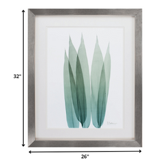 26' X 32' Silver Frame Sea Weed I