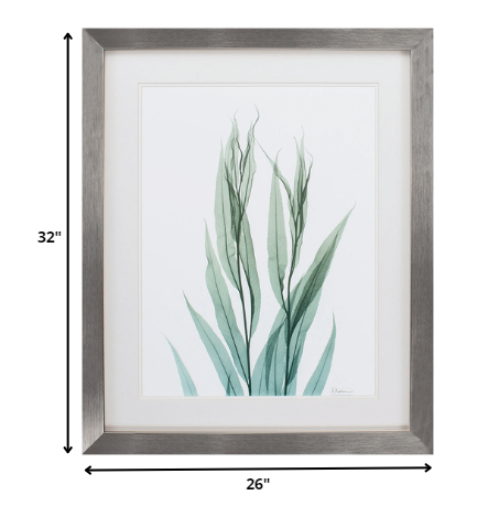 26' X 32' Silver Frame Sea Weed II