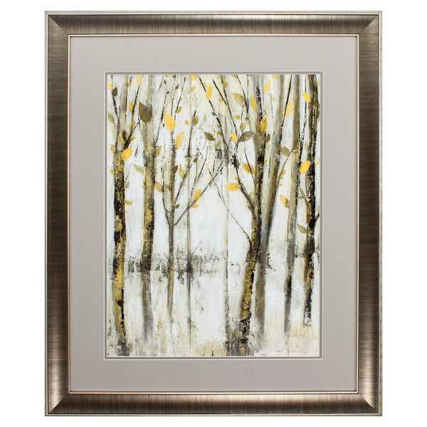 28' X 34' Gunmetal Gray Frame See The Light