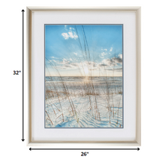 26' X 32' Champagne Gold Color Frame  Among The Grass