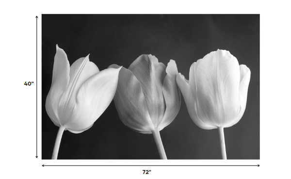 72 X 1 X 40 Acrylic Painting