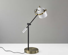White Metal Adjustable Arm and Shade USB Port Desk Lamp