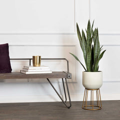 Faux Cement and Golden Metal Decorative Plant Stand