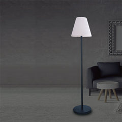 67 X 12 X 15 Multi  PE Plastic Solar LED Lamp