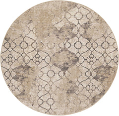 5'x8' Ivory Machine Woven Distressed Ogee Indoor Area Rug
