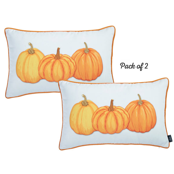 Set of 4 20" Thanksgiving Pumpkin Throw Pillow Cover in Multicolor