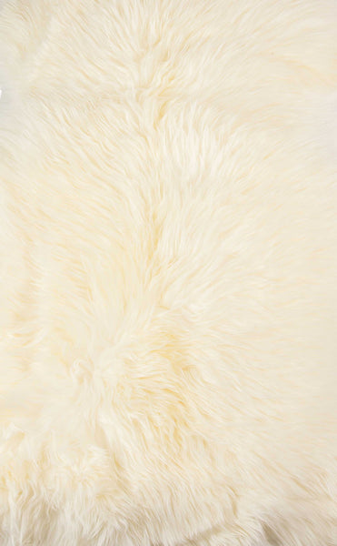 2' x 3' Ivory New Zealand Natural Sheepskin Rug