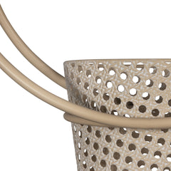 Set of 2 Metallic Cane Wall Planters