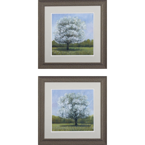 Set of 2 Spring Blossom Tree Framed Art
