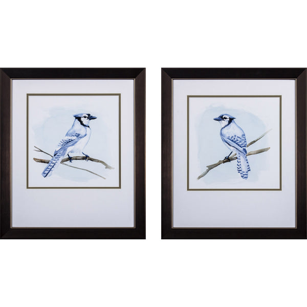 Set of Two Coastal Blue Jay Framed Art