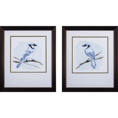 Set of Two Coastal Blue Jay Framed Art