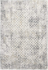 2’ x 4’ Gray and Ivory Distressed Area Rug
