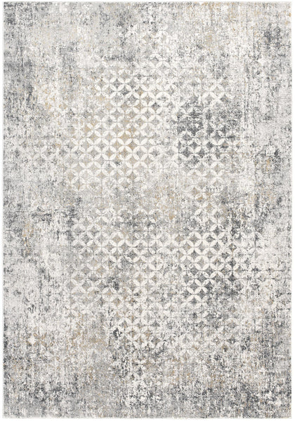 7’ x 10’ Gray and Ivory Distressed Area Rug