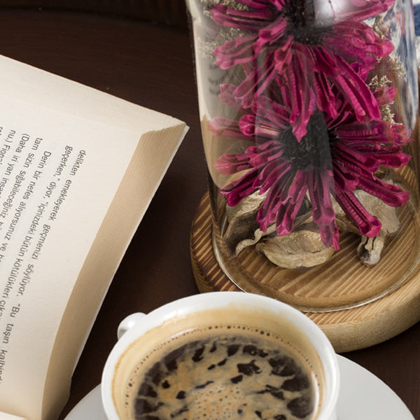 2’ x 15’ Navy Traditional Decorative Runner Rug