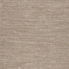 8' x 10' Tan and White Braid Border Area Rug