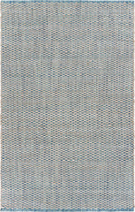5' x 8' Blue and Beige Toned Area Rug