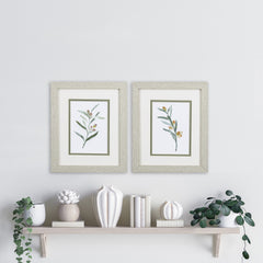 Set of Two Olive Branches Wall Art