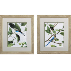 Set of Two Blue Jay Birds Wall Art