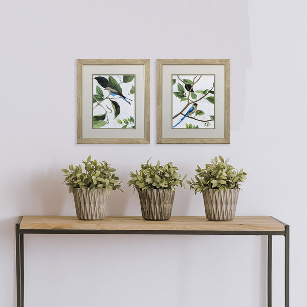 Set of Two Blue Jay Birds Wall Art