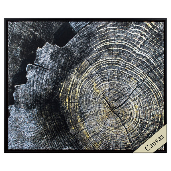 Modern Tree Stump Canvas Wall Art