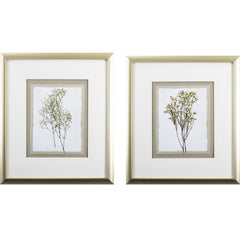 Set of Two Babybreath Flowers Wall Art