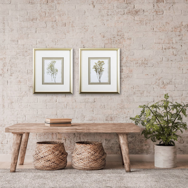 Set of Two Babybreath Flowers Wall Art