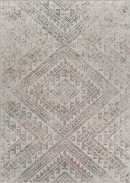 5' x 7' Gray Boho Chic Distressed Area Rug
