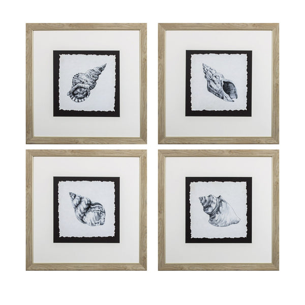 Set of Four Modern Black and White Seashells Wall Art