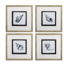 Set of Four Modern Black and White Seashells Wall Art