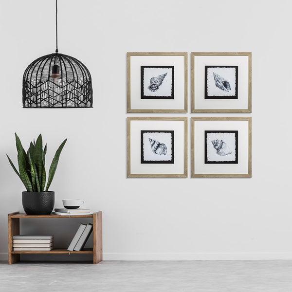 Set of Four Modern Black and White Seashells Wall Art