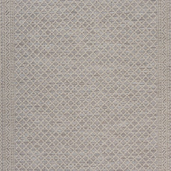 5' x 7' Gray Classic Indoor Outdoor Area Rug