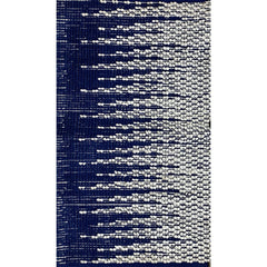 3' x 4' Blue and White Transition Area Rug
