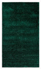 5' x 7' Green Modern Shimmery Area Rug