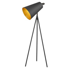 Faza 1-Light Matte Black Floor Lamp