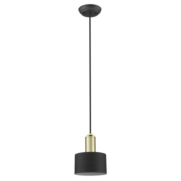 Matte Black and Gold Pendant Hanging Light