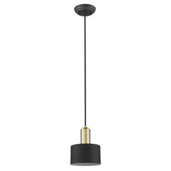 Matte Black and Gold Pendant Hanging Light