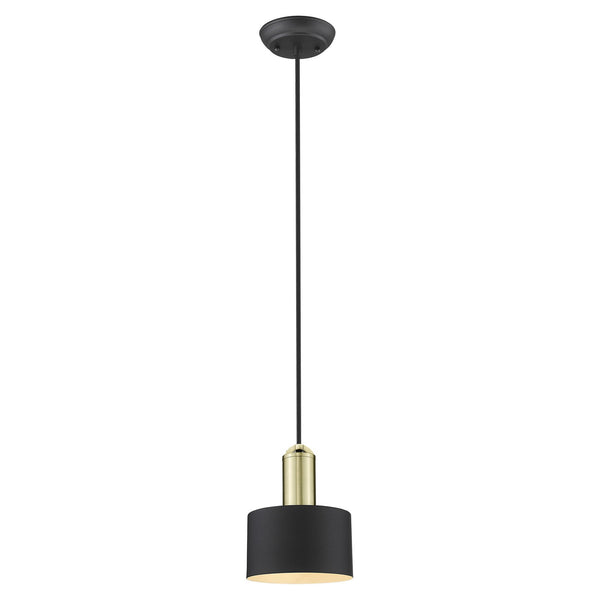 Matte Black and Gold Pendant Hanging Light