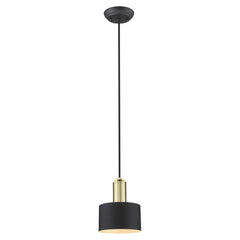 Matte Black and Gold Pendant Hanging Light