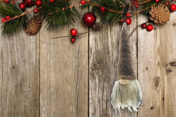 Brown Nomad the Gnome