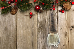 Brown Nomad the Gnome