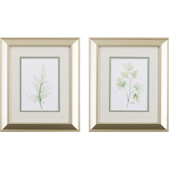 Set of Two Watercolor Herb Wall Art
