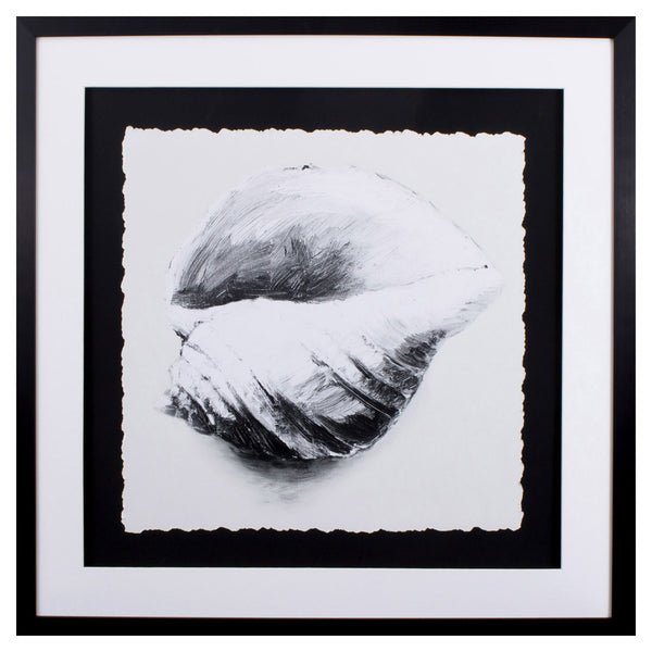 Black and White Conch Shell 1 Wall Art